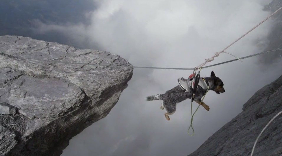 When Dogs Fly Dean Potter takes his Dog Whisper Basejumping