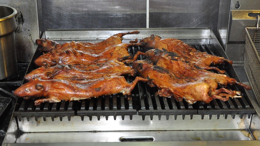 Guinea pigs on the grill